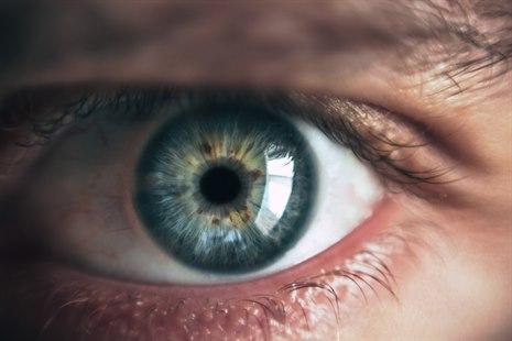 Eye. Photo by Victor Freitas on Unsplash